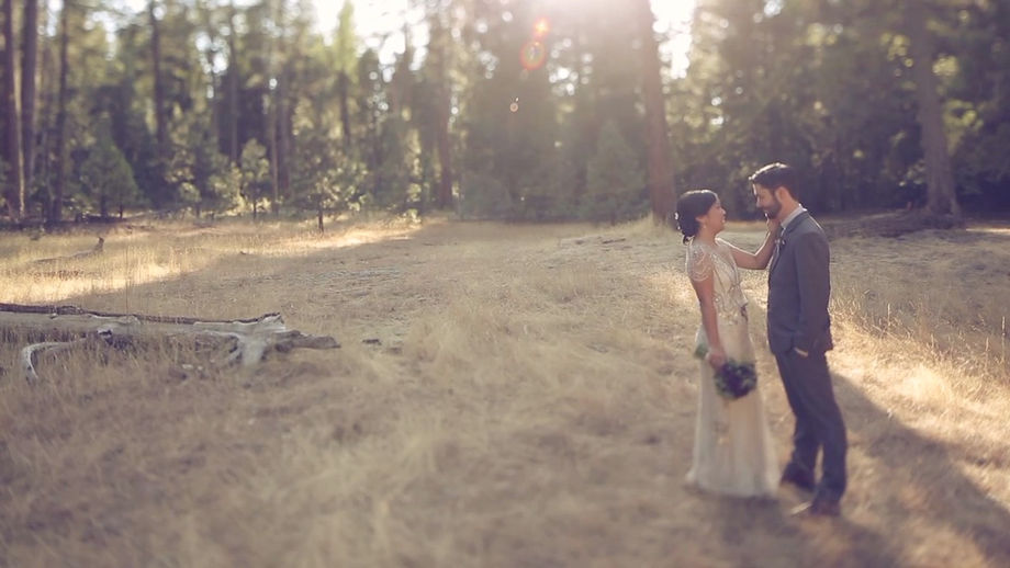 Yosemite CA Wedding Video